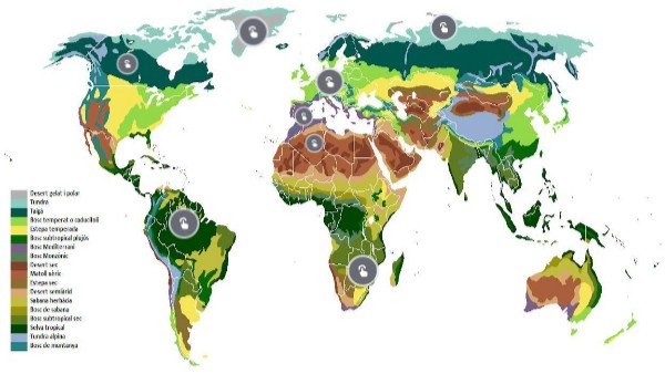 biomes