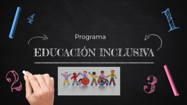 Programa educación inclusiva