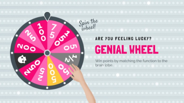 Knowledge Checkpoint 2_Match function w lobe