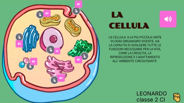CELLULA