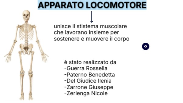 Apparato locomotore