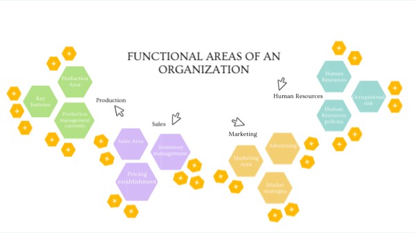 functional areas of an organization