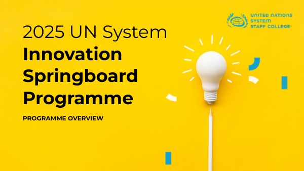 2025 UN System Innovation Springboard Programme | Genially