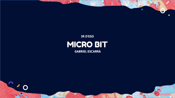 Micro bit