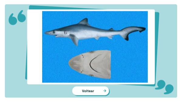 Flashcard Ampliar | Genially