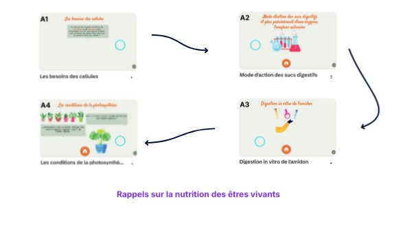 Bilan sur la nutrition des êtres vivants