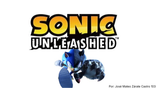 Sanic unleashed