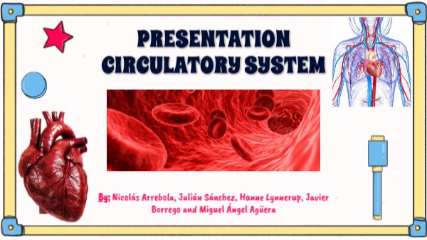 Presentation circulatory system
