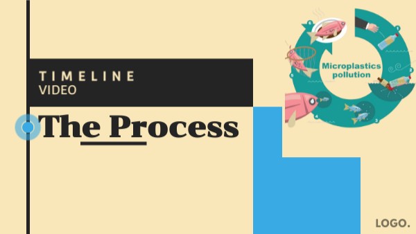 Video timeline
