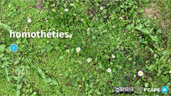 homothéties