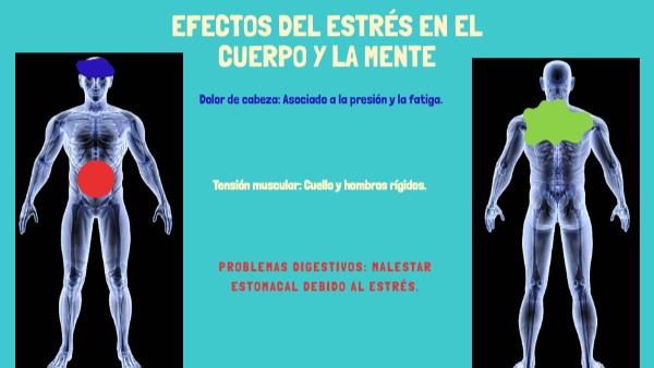 Efectos del Estrés en el Cuerpo y la Mente