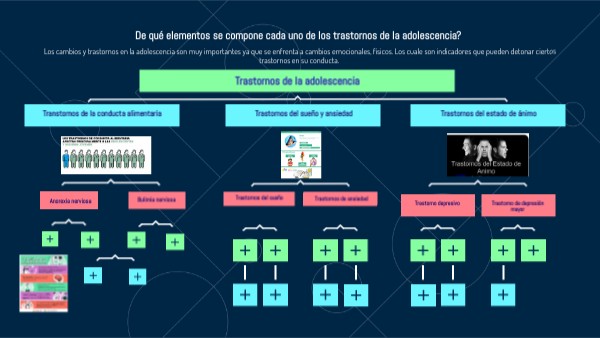 De qué elementos se compone un test ? | Genially