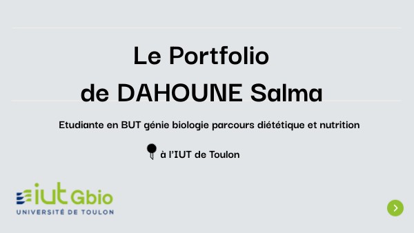 Le Portfolio de DAHOUNE Salma