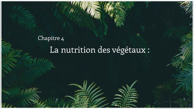 La nutrition des végétaux 5ème | Genially