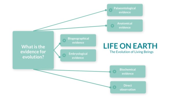 LIFE ON EARTH | Genially