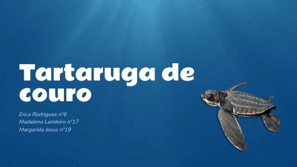 Tartaruga Divertente Con I Piccoli Amici Illustrazione Vettoriale