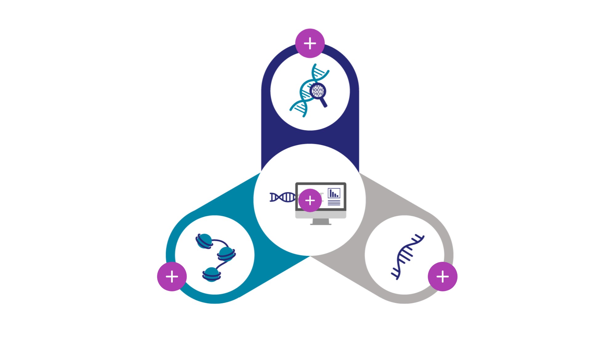 Our Services Portfolio | Genially