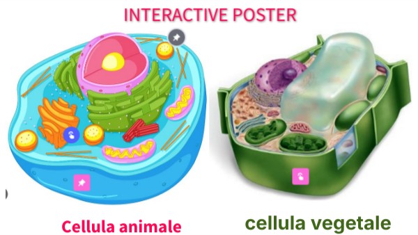 interactive poster | Genially