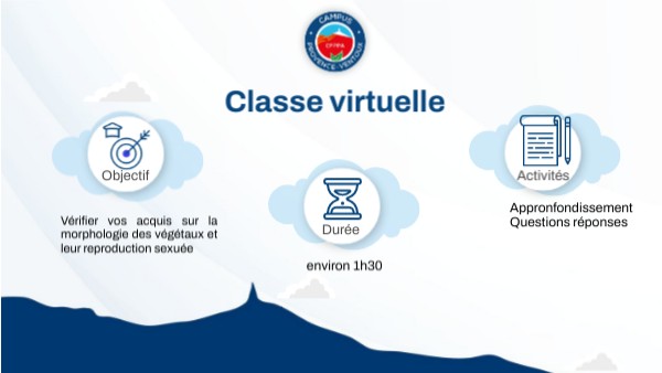Classe virtuelle 4 mars 2025 | Genially
