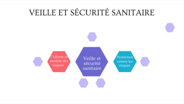 Veille et sécurité sanitaire | Genially