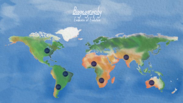 Copy - Biogeography Evidence | Genially
