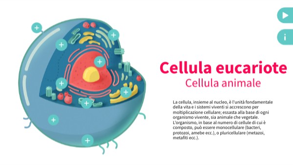 Cellula | Genially