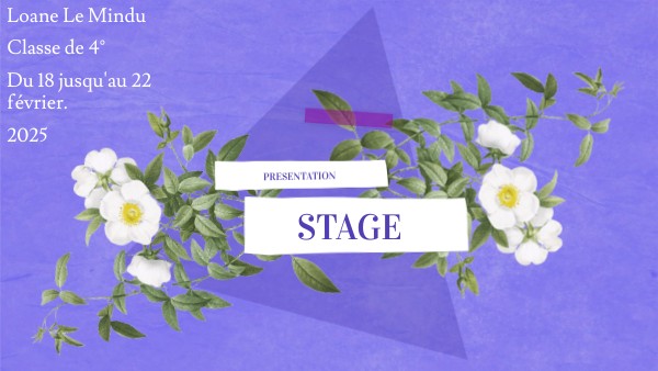 Stage | Genially
