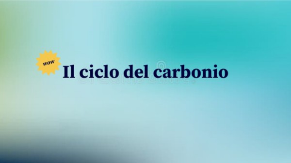 Kit Filtro Acqua A Blocchi Di Carbonio 1 Micron - Con Inibitore Calcare Per Rubinetti