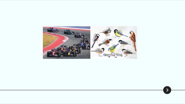 F1 and Birds | Genially