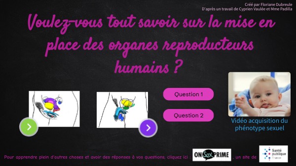 Mise en place des appareils reproducteurs 2025 | Genially