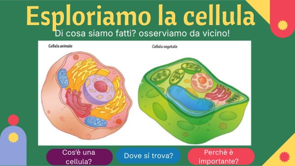 Quanto è piccola una cellula? | Genially