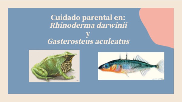 Cuidado parental | Genially