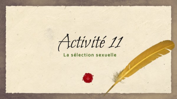 Activité 11 et 12 | Genially