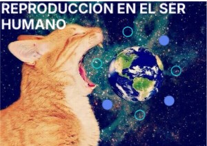 REPRODUCCIÓN EN EL SER HUMANO | Genially