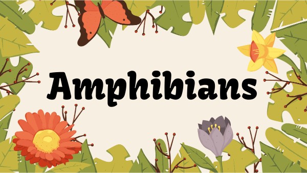 Amphibians | Genially