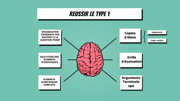 Réussir le type 1 | Genially