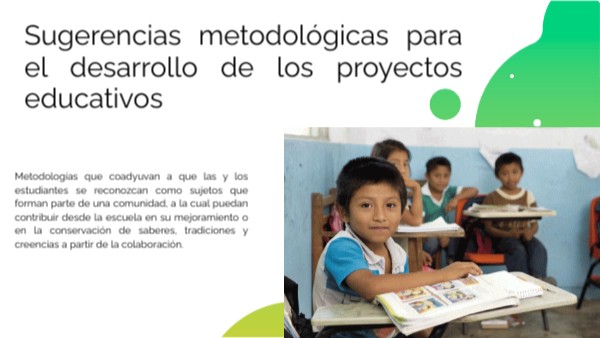 Sugerencias metodológicas para el desarrollo de los proyectos