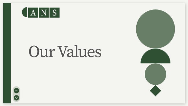 Copy - Our Values | Genially
