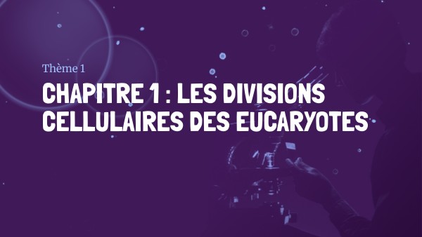 Chapitre 1 : les divisions cellulaires des eucaryotes | Genially