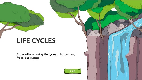 Life Cycles | Genially