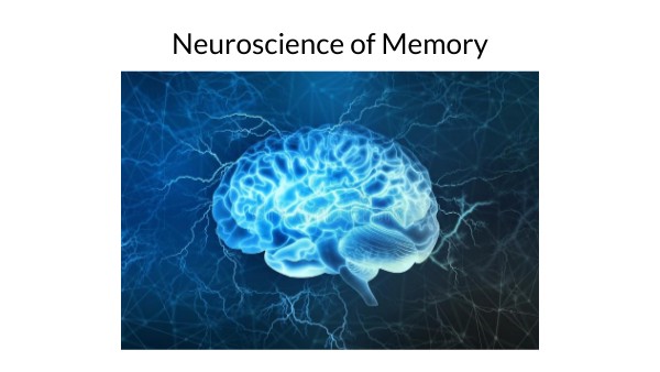 Neuro of Memory | Genially