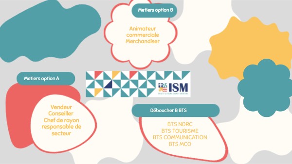Déboucher B BTS | Genially