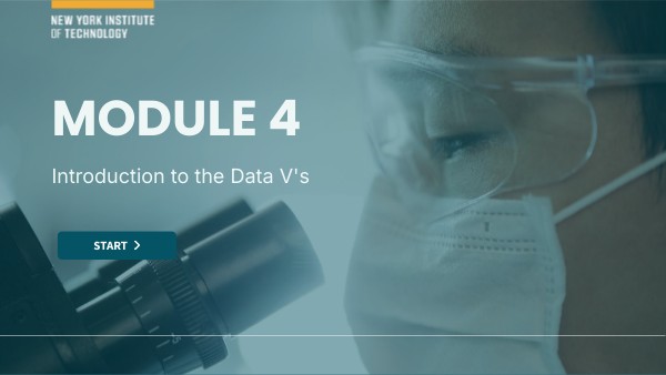 Module 4: Introduction to the Data V's | Genially