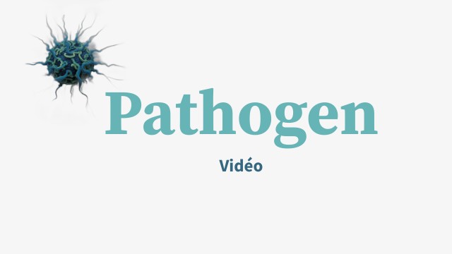 Pathogen VA | Genially