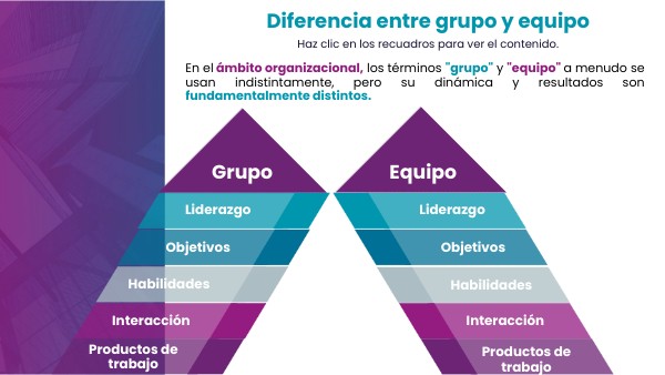 Diferencia entre grupo y equipo | Genially