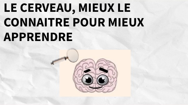 3pm-seance-1-le-cerveau-mieux-le-connaitre-pour-mieux-apprendre