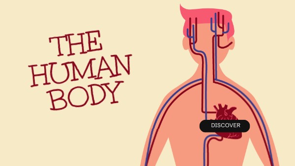 The human body | Genially