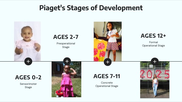 Piaget's Stages of Development | Genially