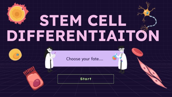 Stem Cell Differentiaiton | Genially