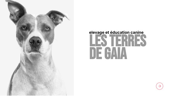 les terres de Gaia | Genially